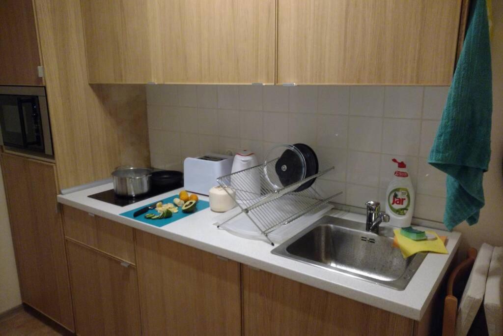 Marvelous Apartment In The Center Of 프라하 외부 사진